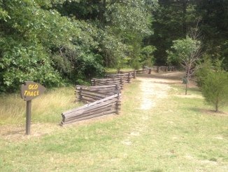 Old Natchez Trace Trail
